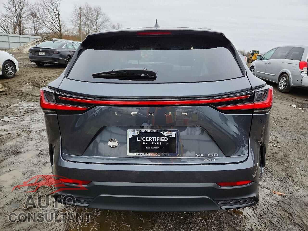 LEXUS UNKNOWN 2025 - 2T2GGCEZ5SC079026