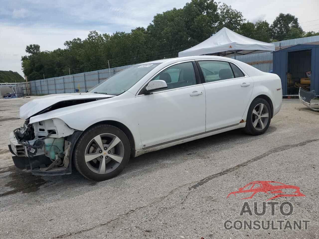 CHEVROLET MALIBU 2009 - 1G1ZJ57B29F195658