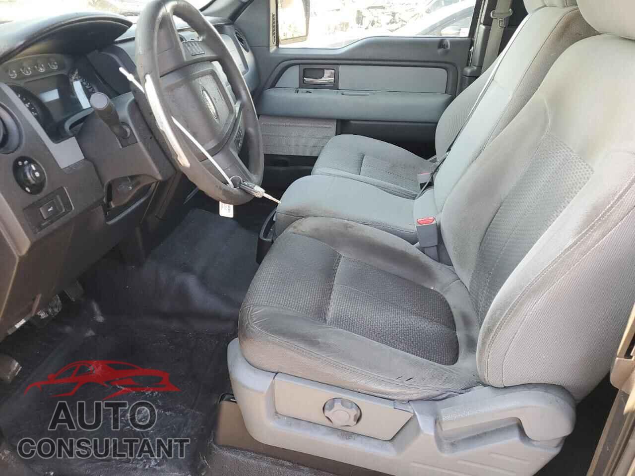 FORD F-150 2013 - 1FTFX1EF4DFD53241
