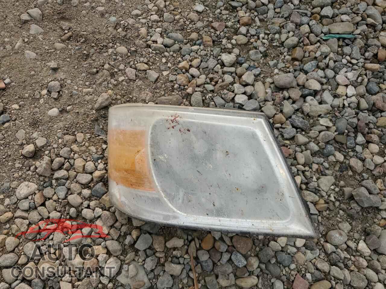 DODGE CARAVAN 2009 - 2D8HN11E79R682979