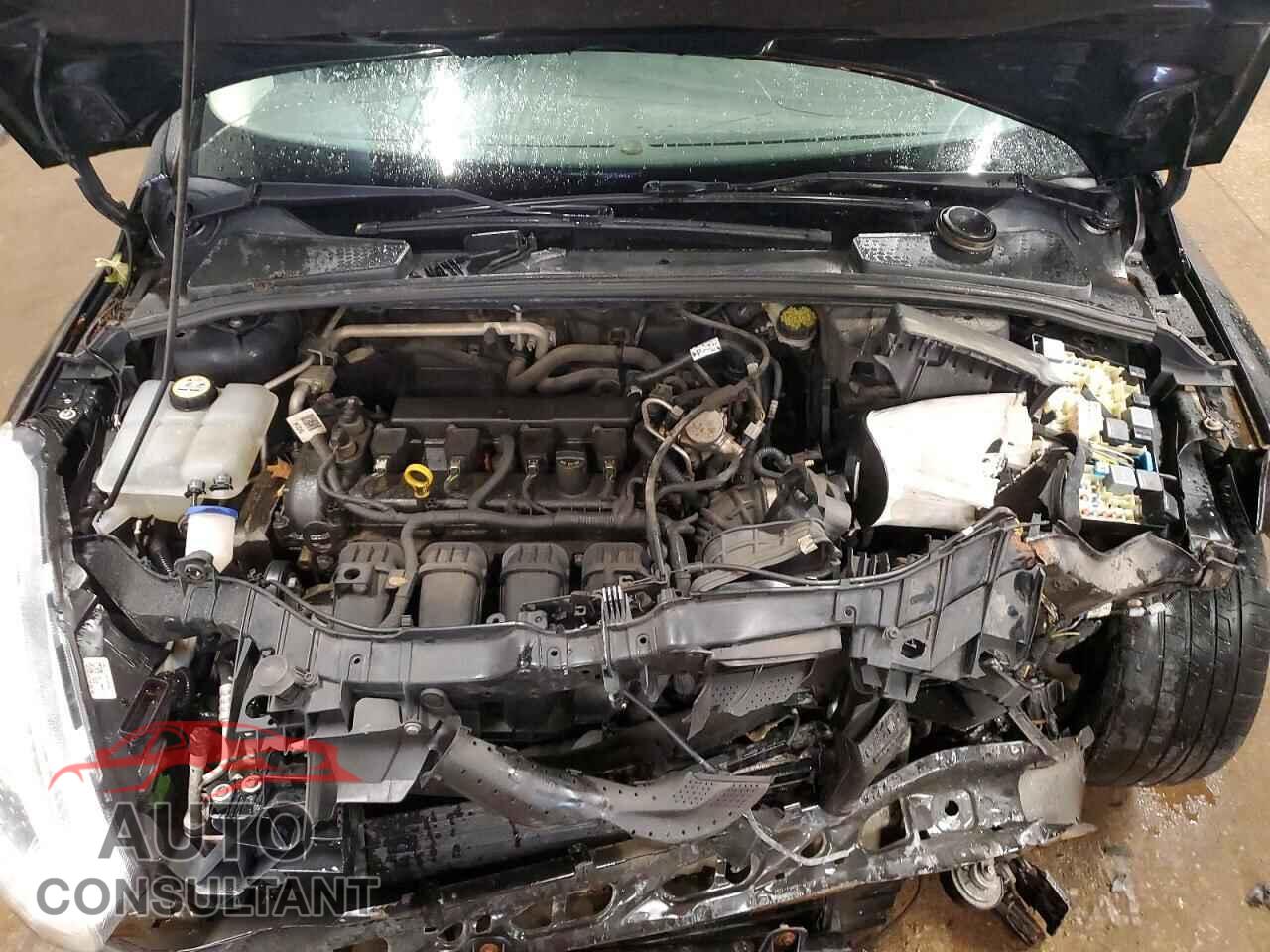FORD FOCUS 2016 - 1FADP3F23GL403122