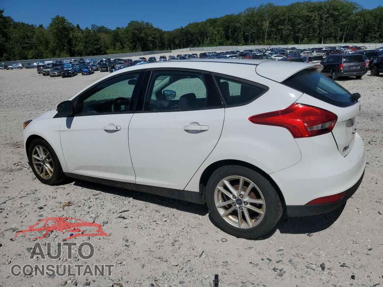 FORD FOCUS 2017 - 1FADP3K28HL240247