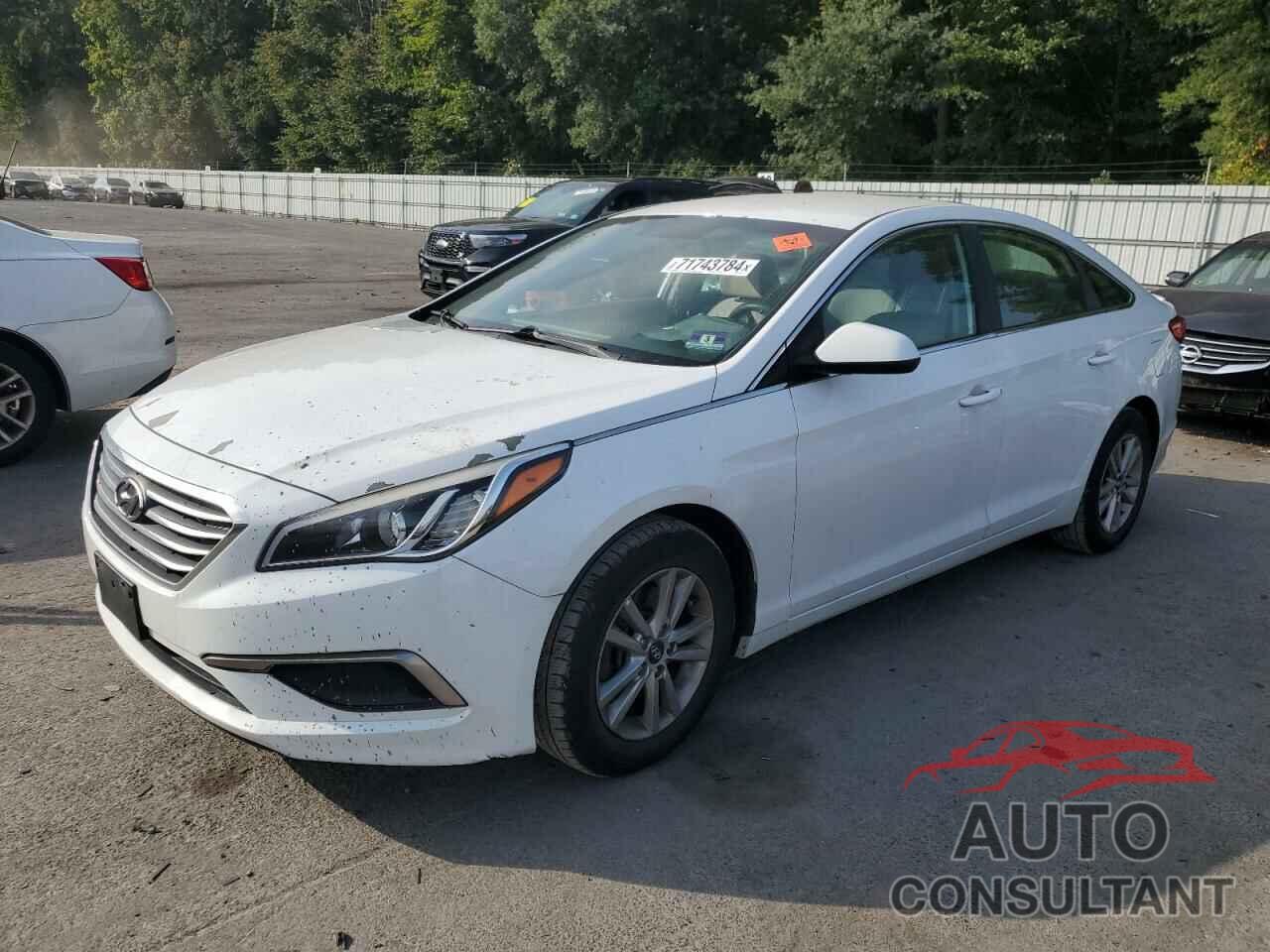 HYUNDAI SONATA 2017 - 5NPE24AF0HH511295