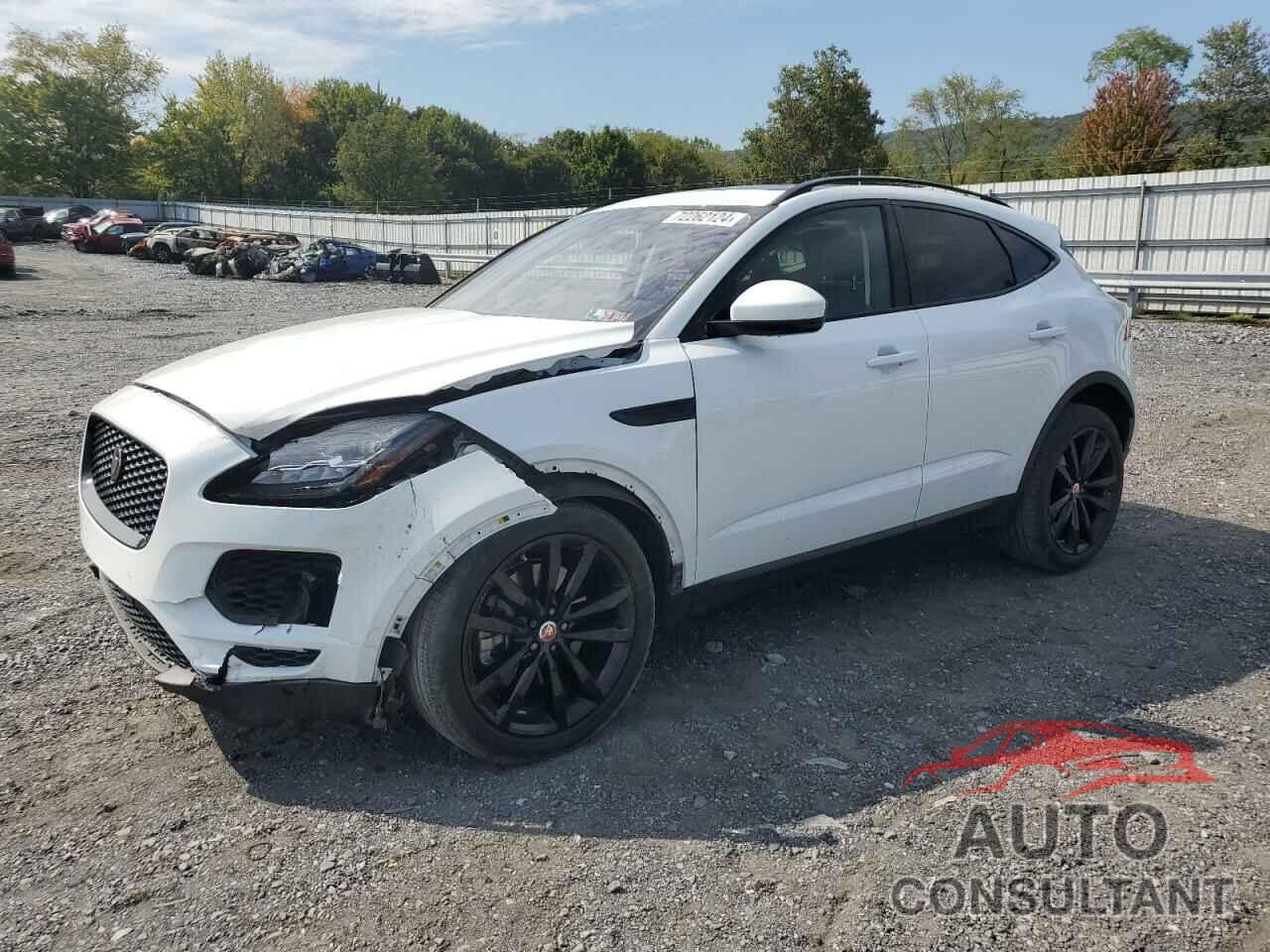 JAGUAR ETYPE 2019 - SADFP2FX5K1Z43685