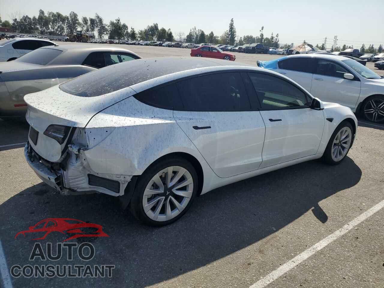 TESLA MODEL 3 2023 - 5YJ3E1EA0PF383018