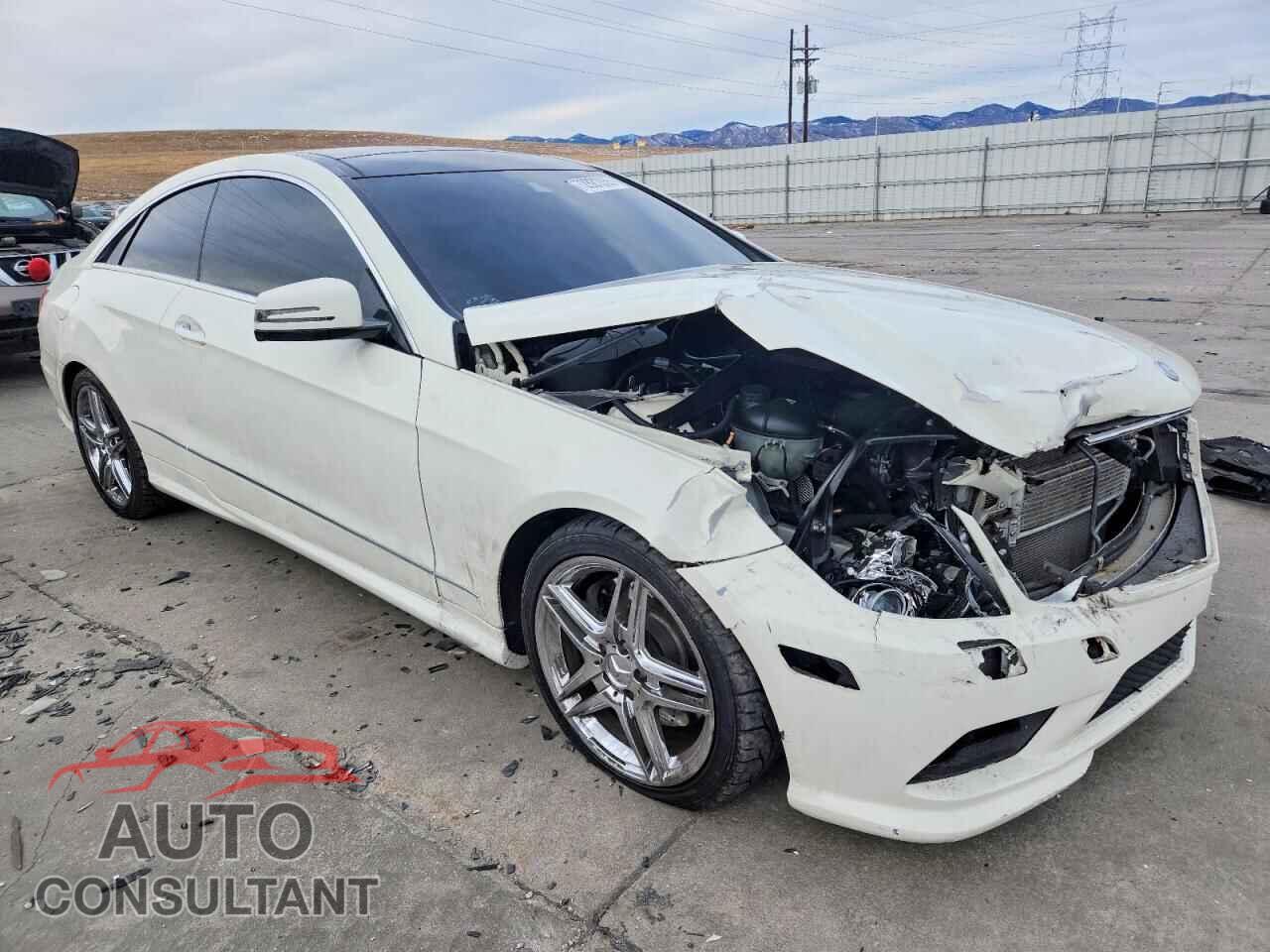 MERCEDES-BENZ E-CLASS 2011 - WDDKJ7CBXBF068713