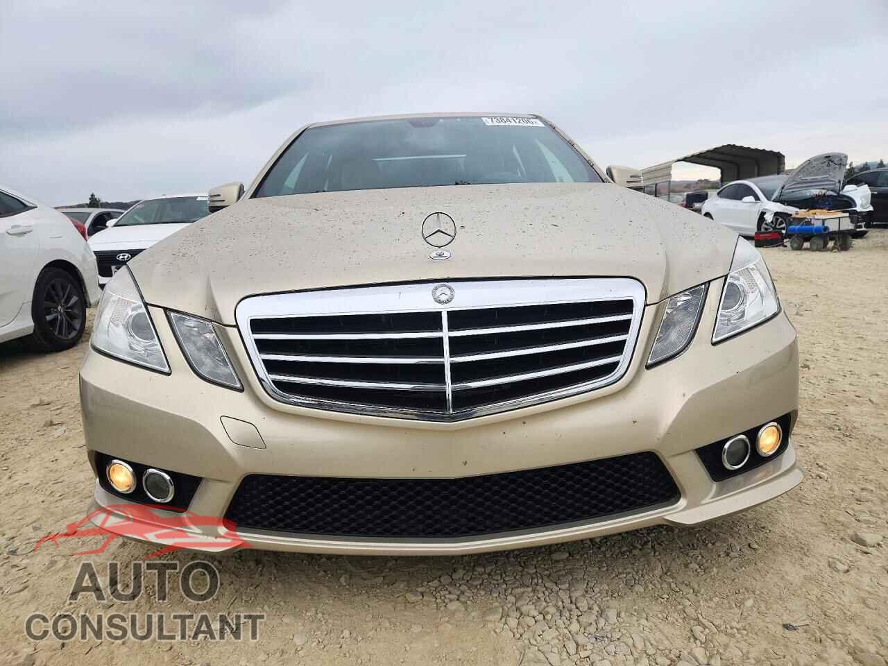 MERCEDES-BENZ E-CLASS 2010 - WDDHF5GB6AA209928