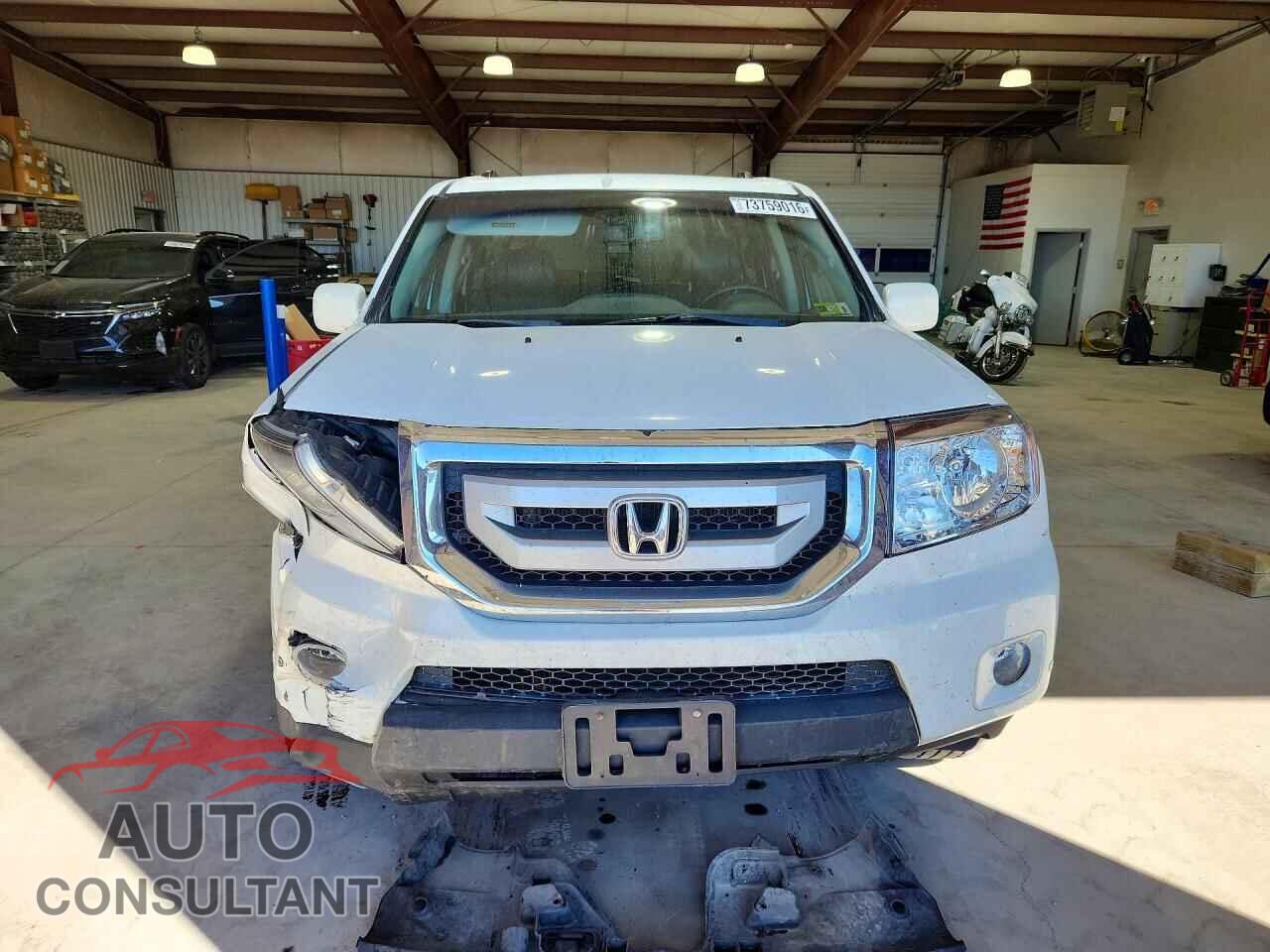 HONDA PILOT 2009 - 5FNYF48959B010209