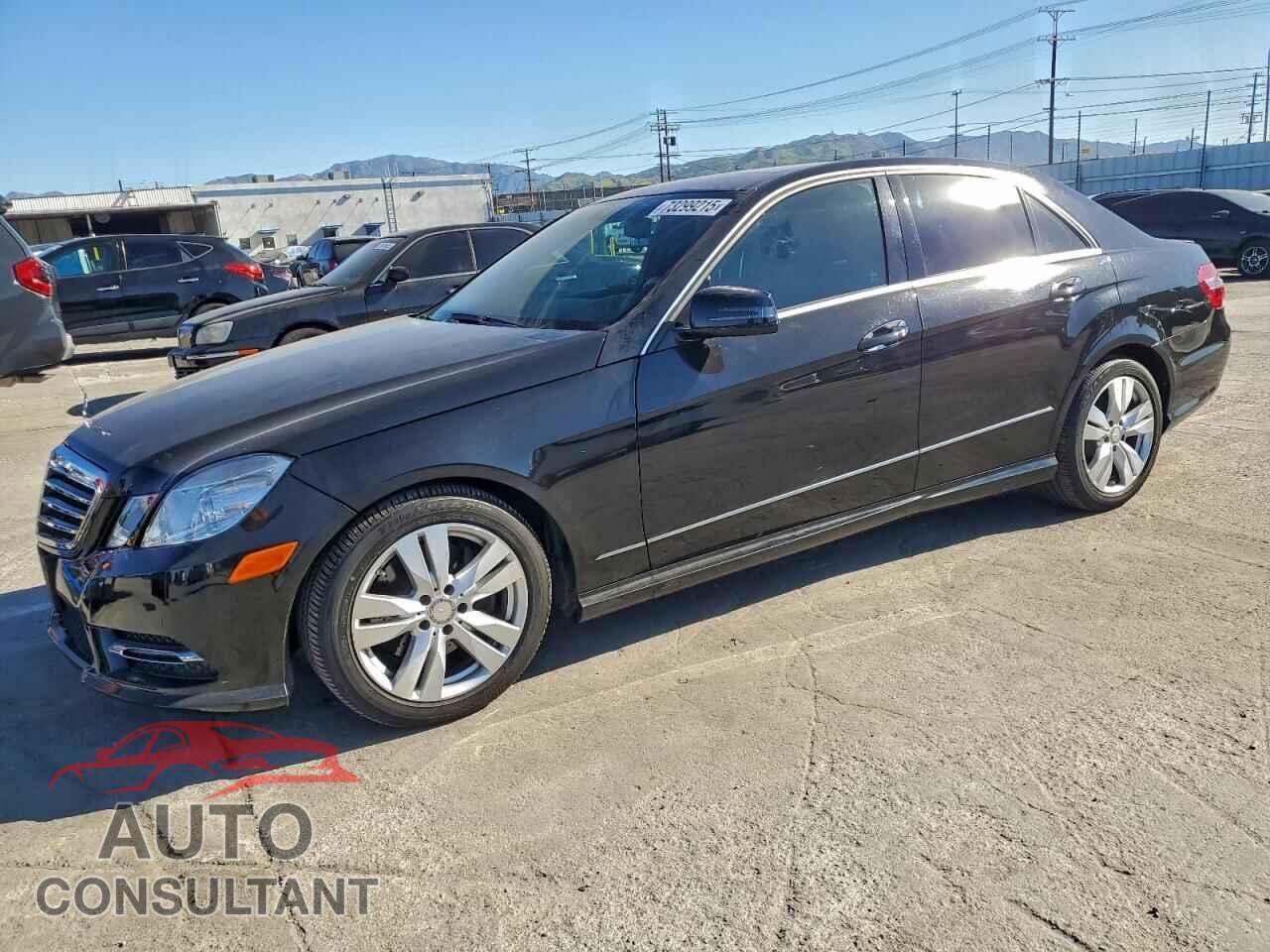MERCEDES-BENZ E-CLASS 2013 - WDDHF2EB6DA740519