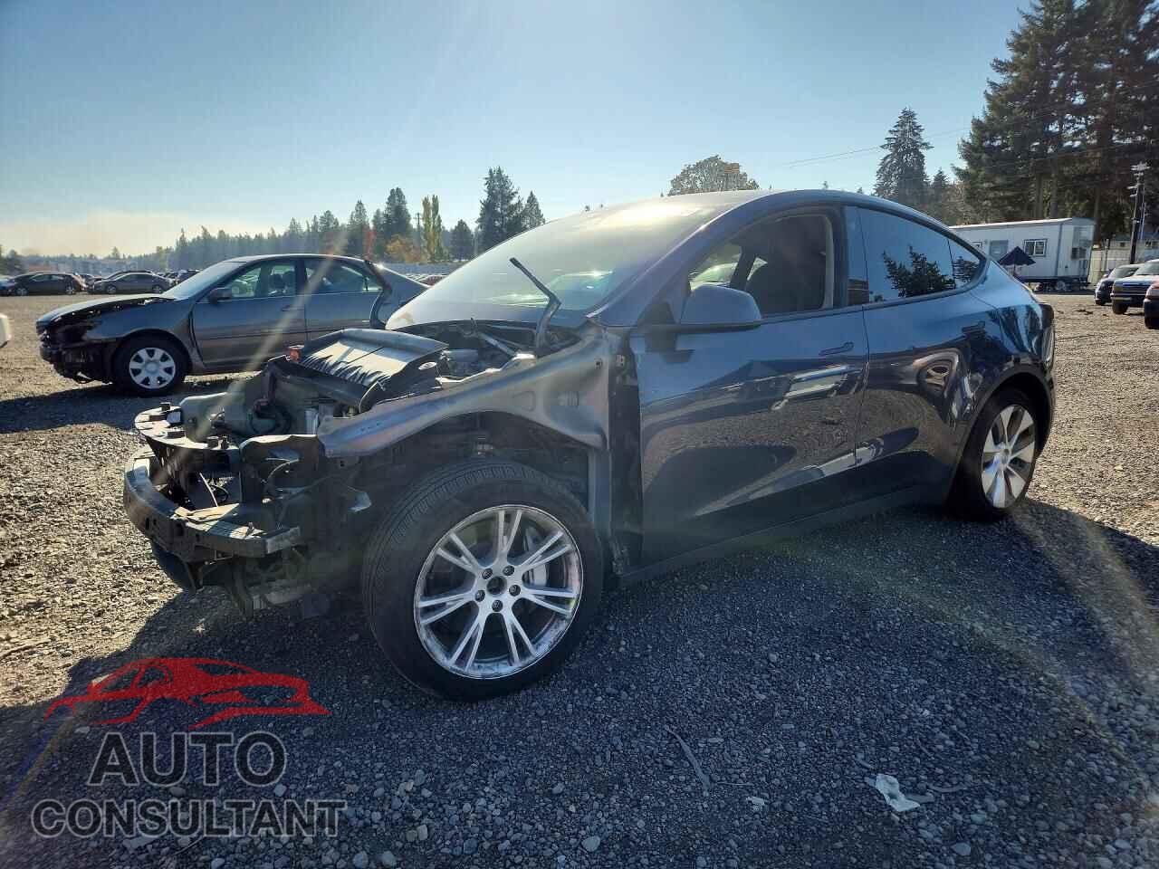 TESLA MODEL Y 2023 - 7SAYGAEE8PF687431