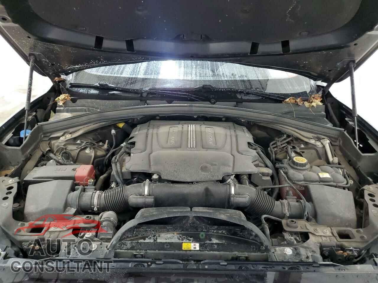 JAGUAR F-PACE 2019 - SADCM2FV2KA398295