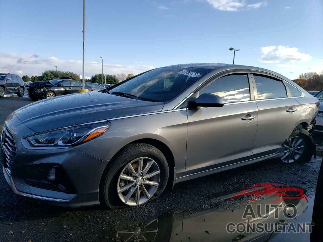 HYUNDAI SONATA 2019 - 5NPE24AF7KH769546