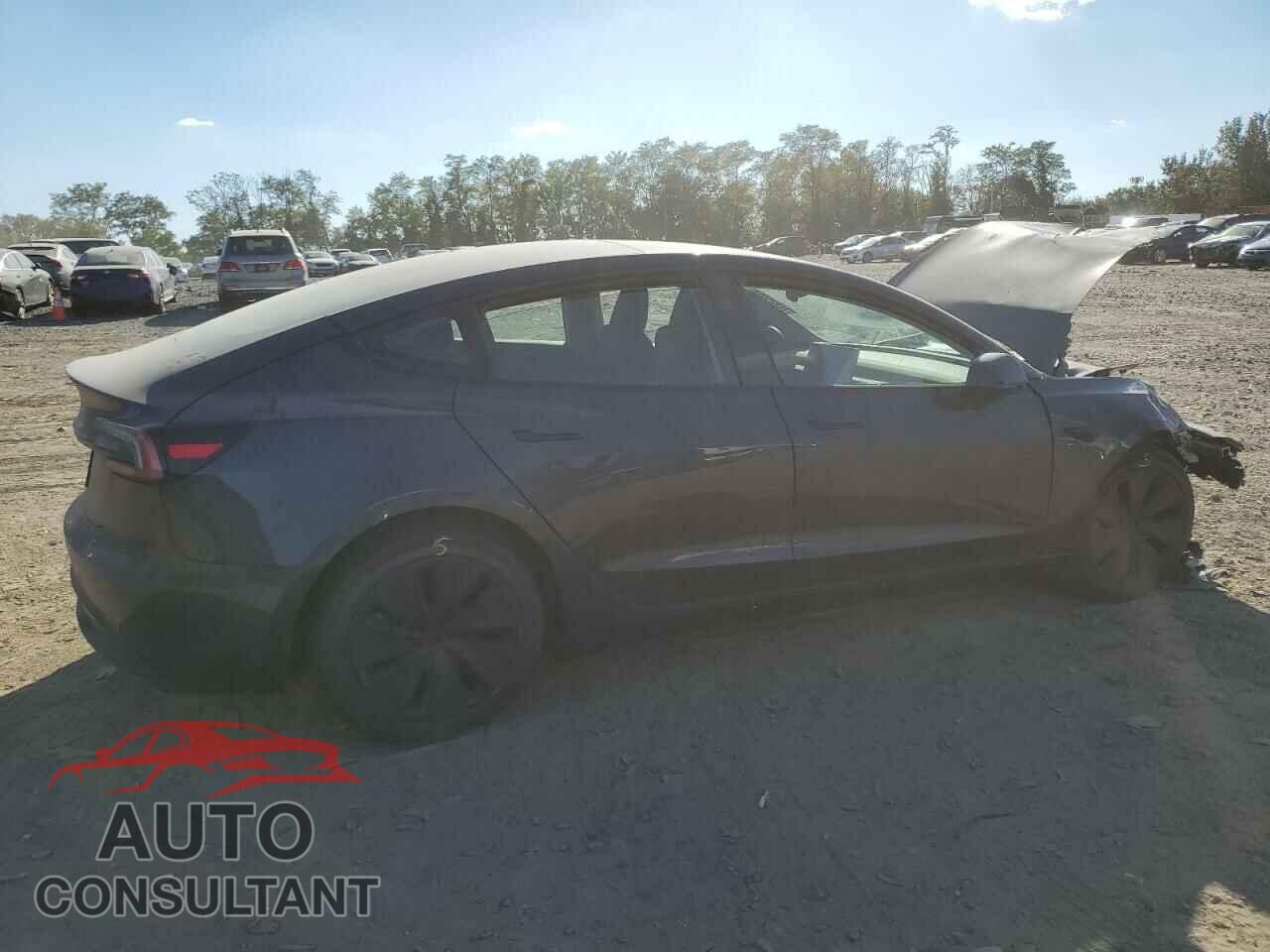 TESLA MODEL 3 2024 - 5YJ3E1EA0RF855981