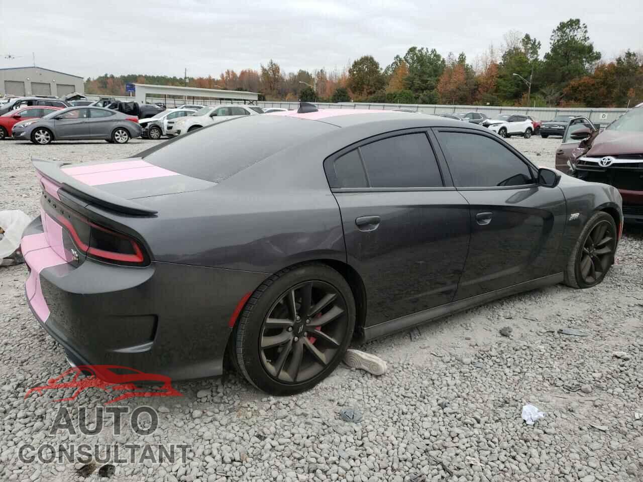 DODGE CHARGER 2019 - 2C3CDXGJ2KH756599