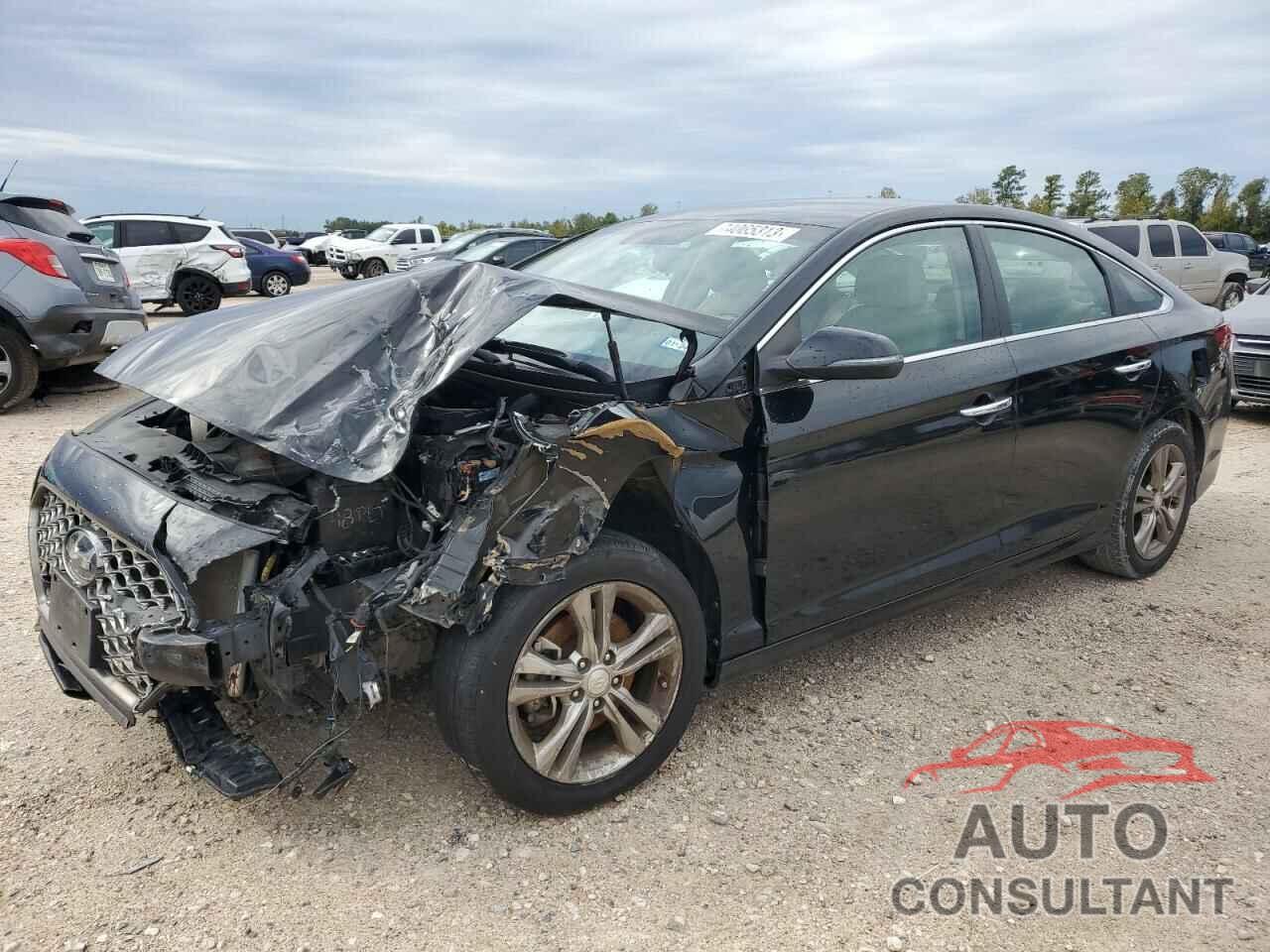 HYUNDAI SONATA 2019 - 5NPE34AF1KH794603