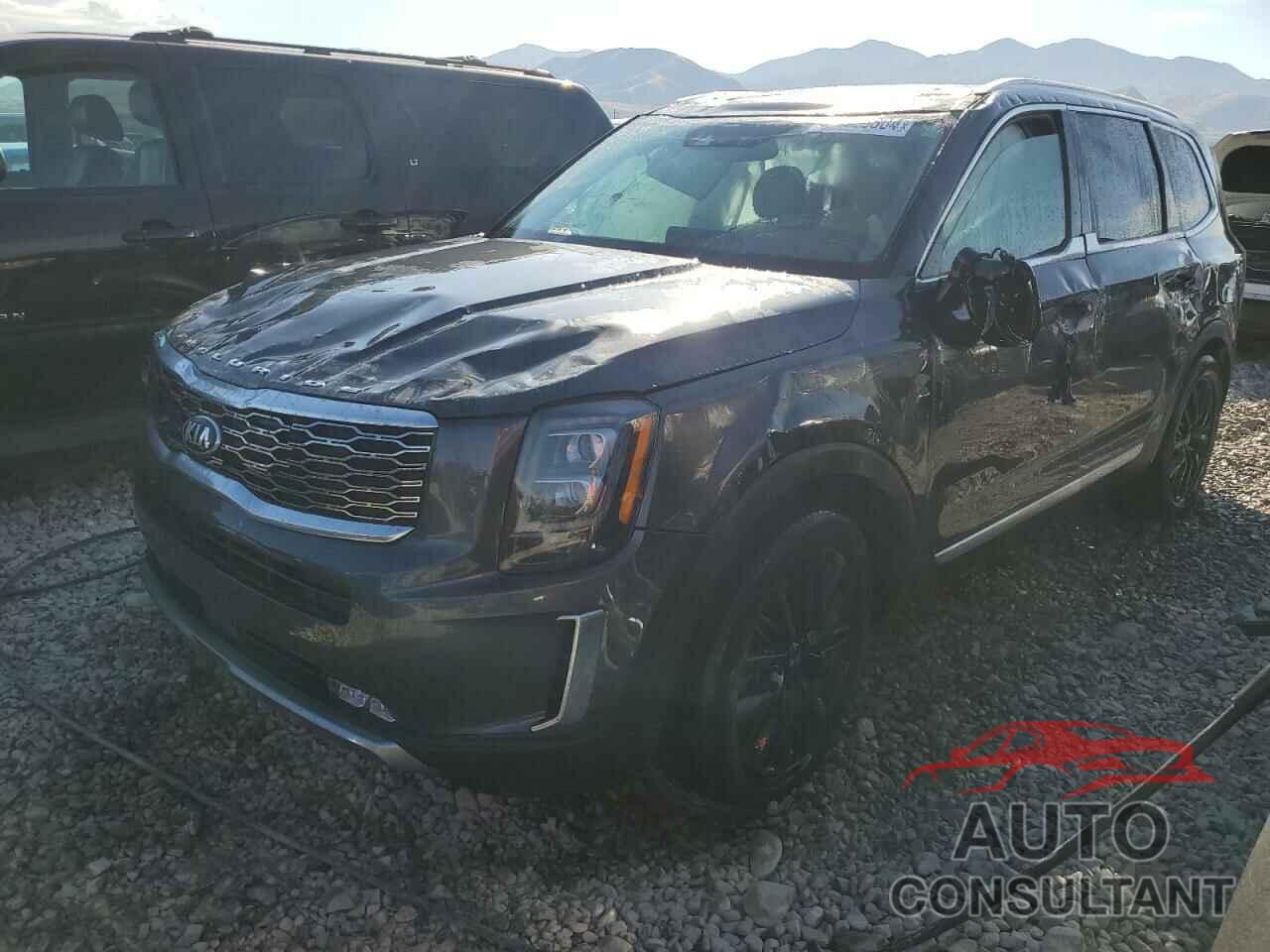 KIA TELLURIDE 2021 - 5XYP5DHC0MG123996