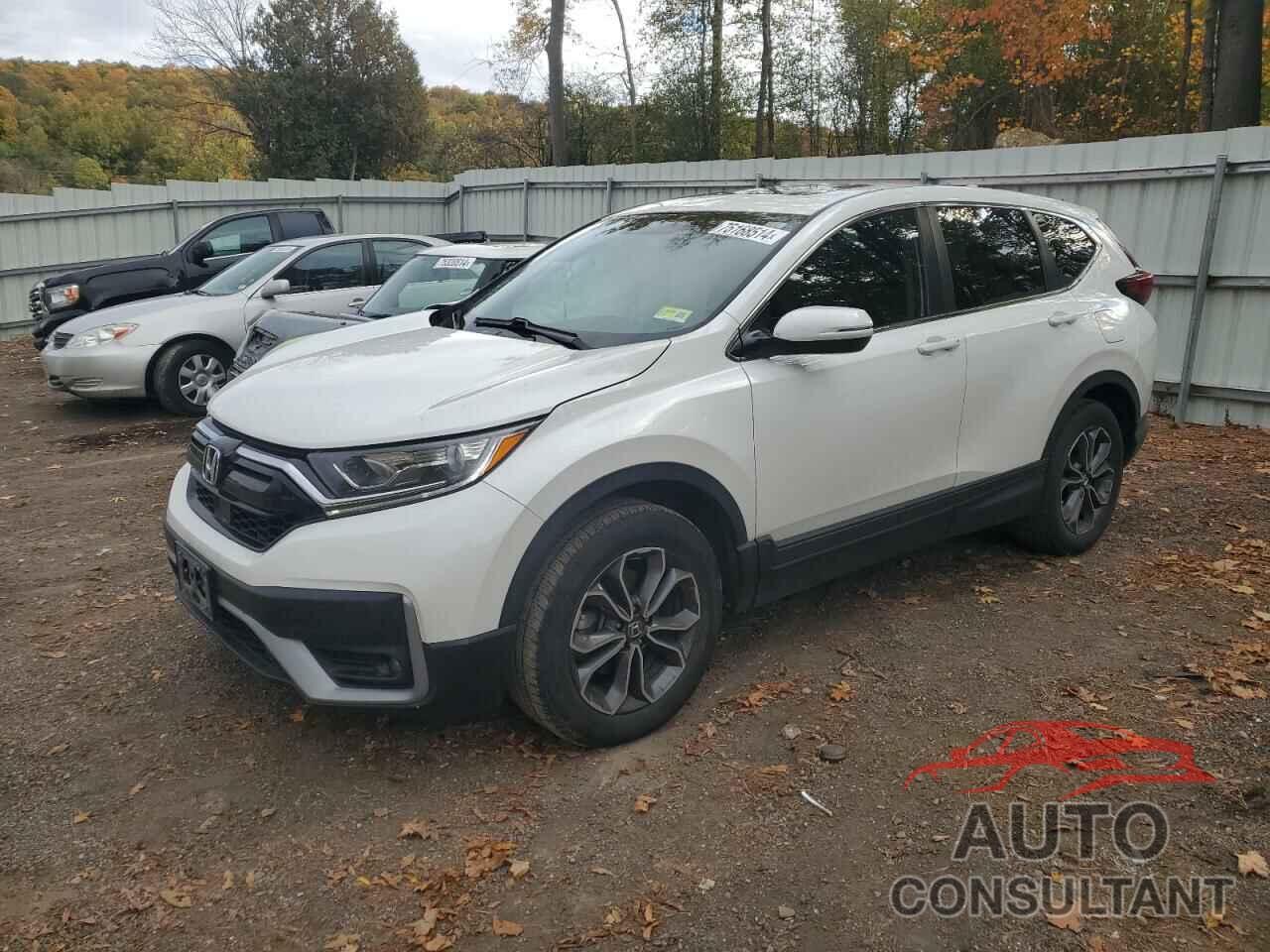 HONDA CRV 2020 - 2HKRW2H58LH662949