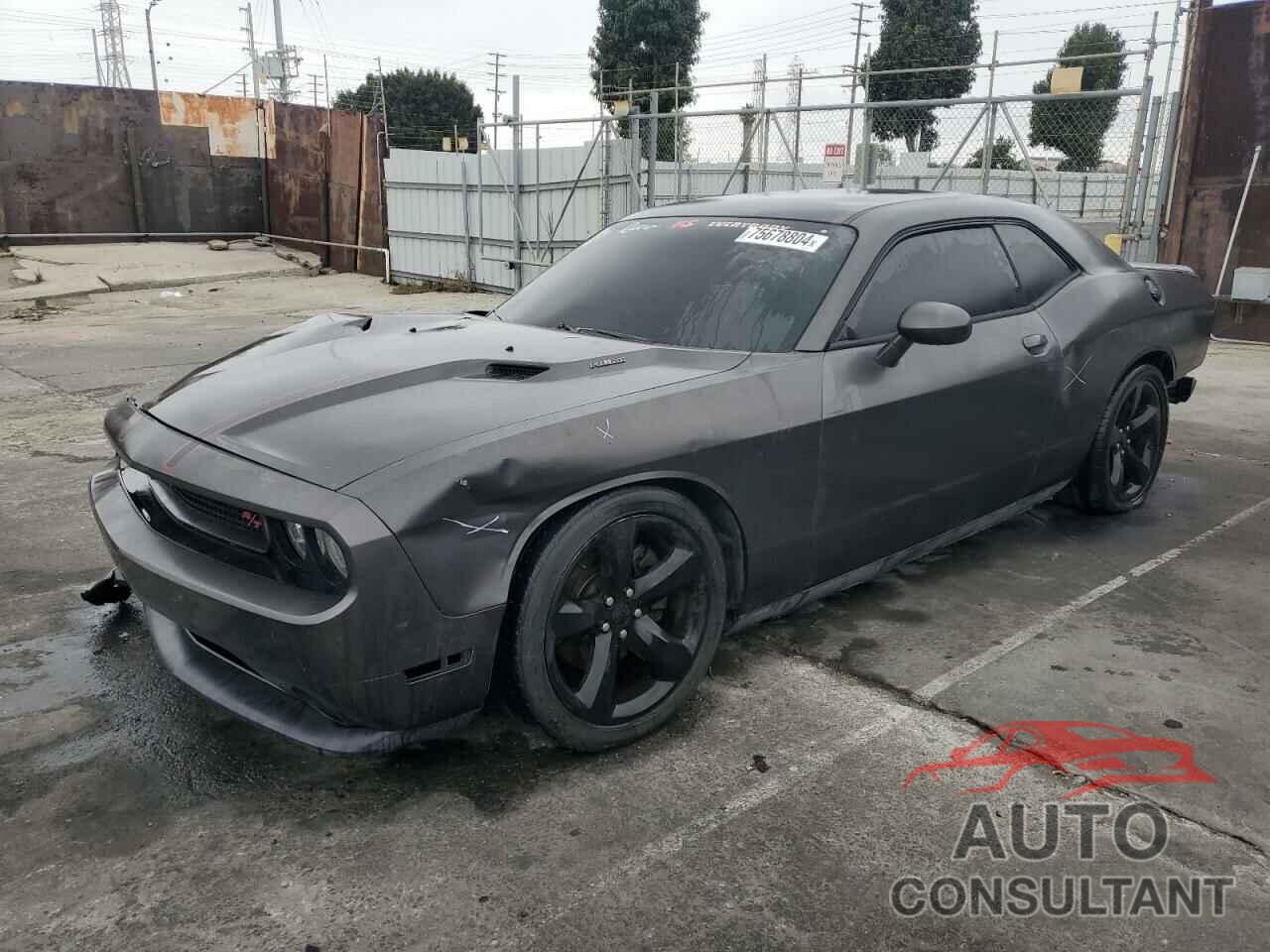 DODGE CHALLENGER 2013 - 2C3CDYBT1DH652123