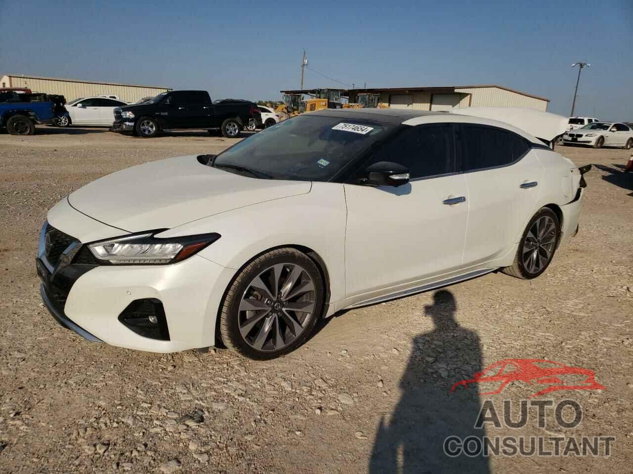 NISSAN MAXIMA 2019 - 1N4AA6AV9KC366514