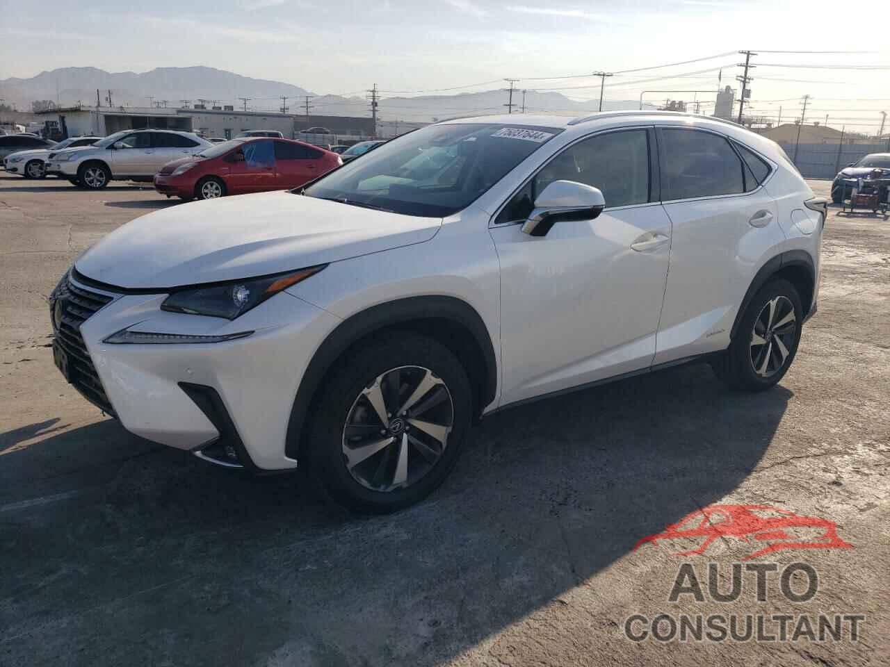 LEXUS NX 2021 - JTJGJRDZXM5013403