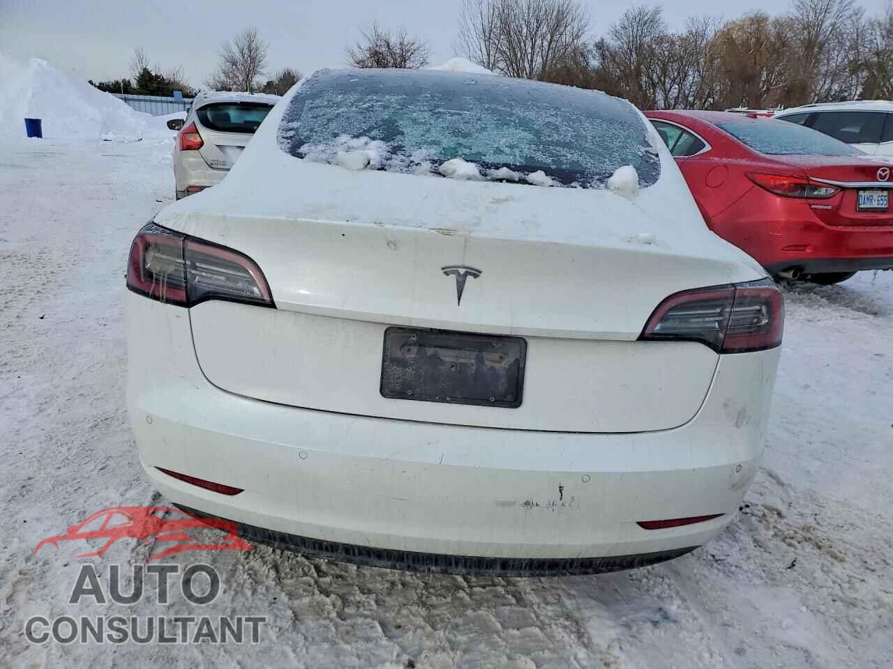 TESLA MODEL 3 2019 - 5YJ3E1EA8KF480413