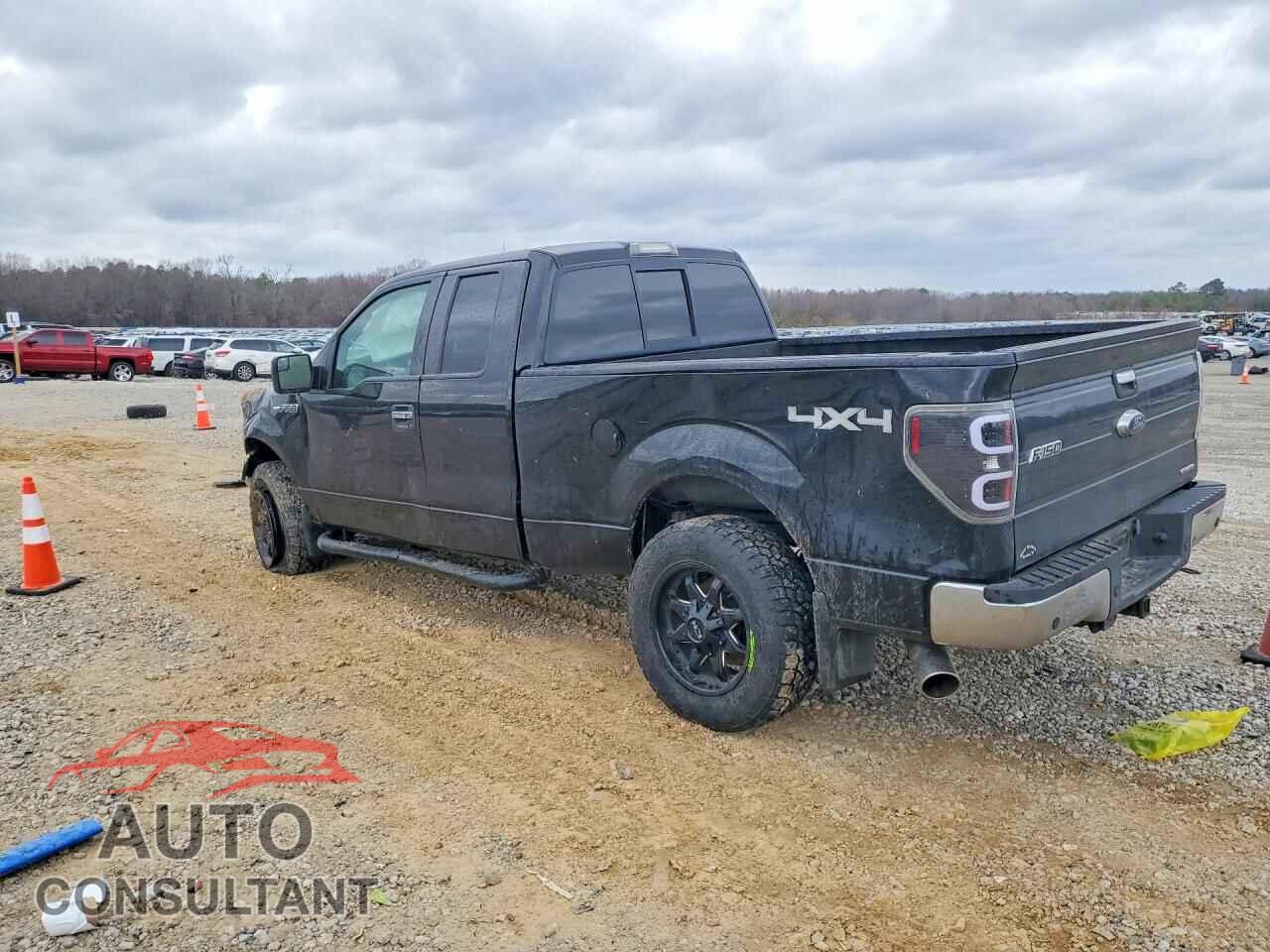 FORD F-150 2013 - 1FTFX1EF7DFD65481