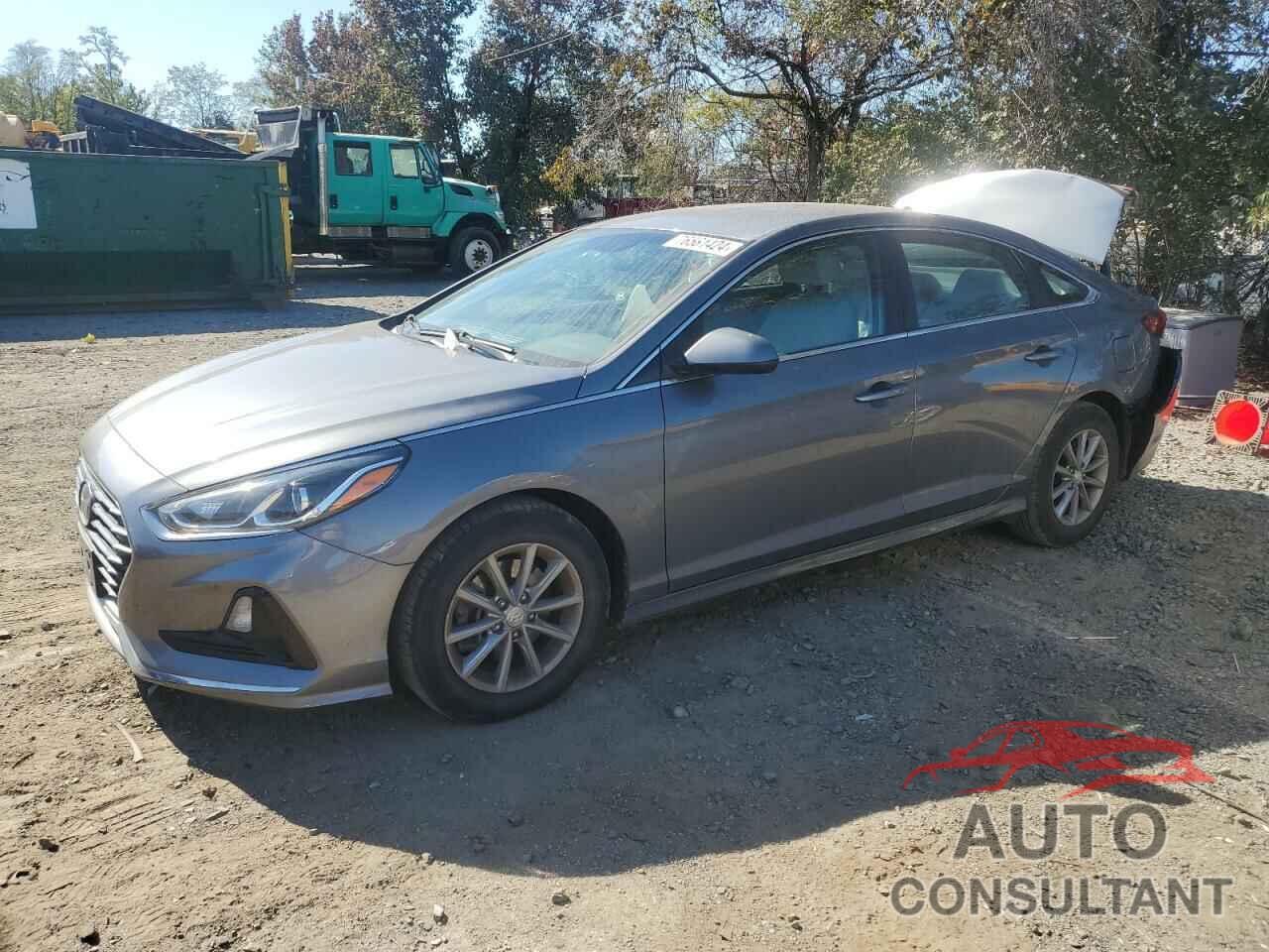 HYUNDAI SONATA 2019 - 5NPE24AF8KH729878