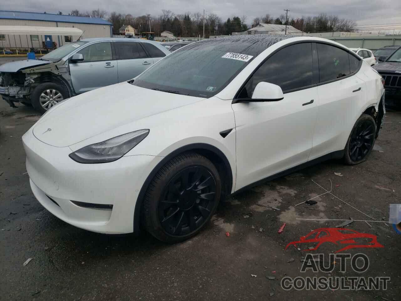 TESLA MODEL Y 2021 - 5YJYGDEE7MF071505