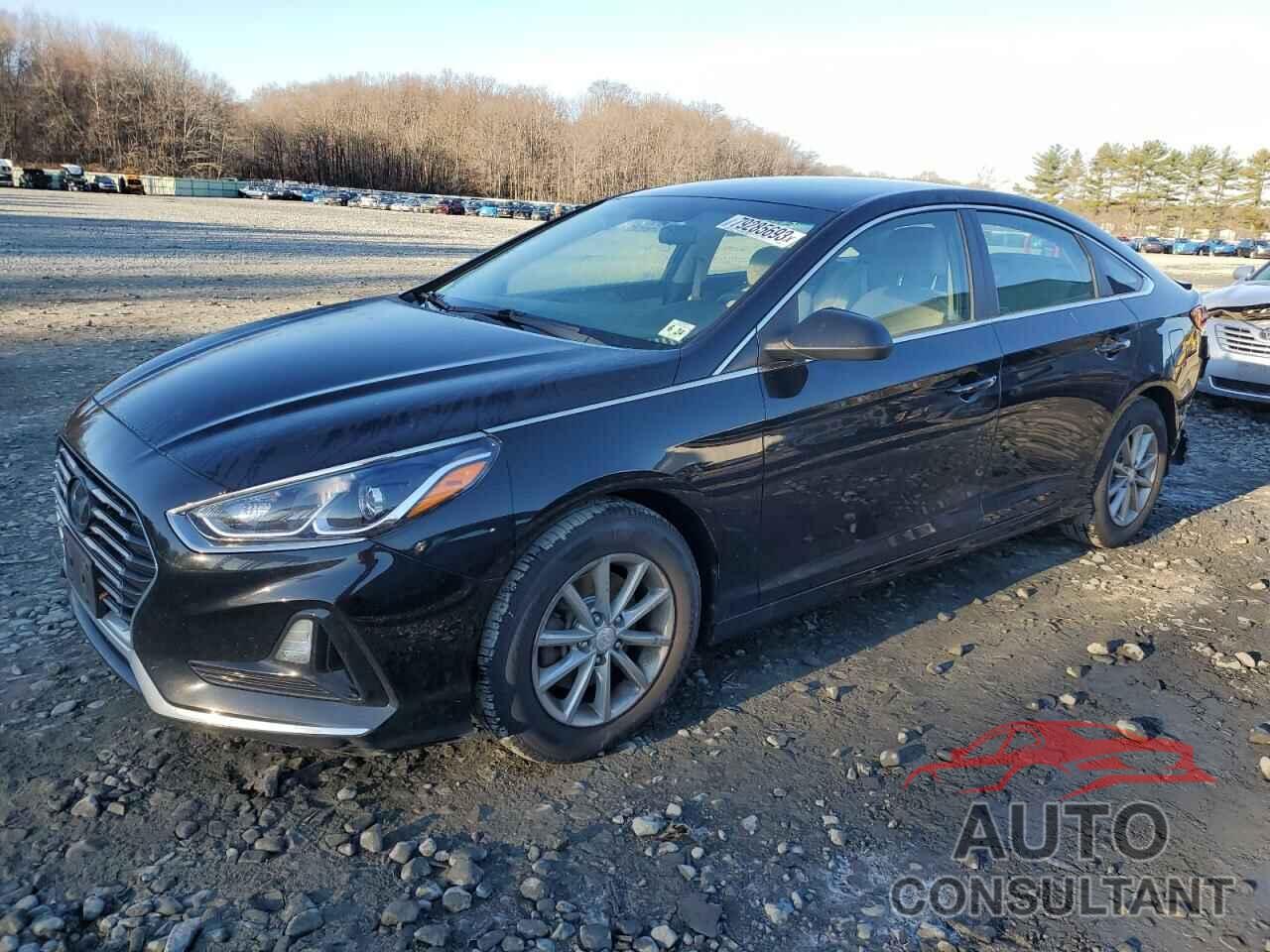 HYUNDAI SONATA 2019 - 5NPE24AF2KH780003