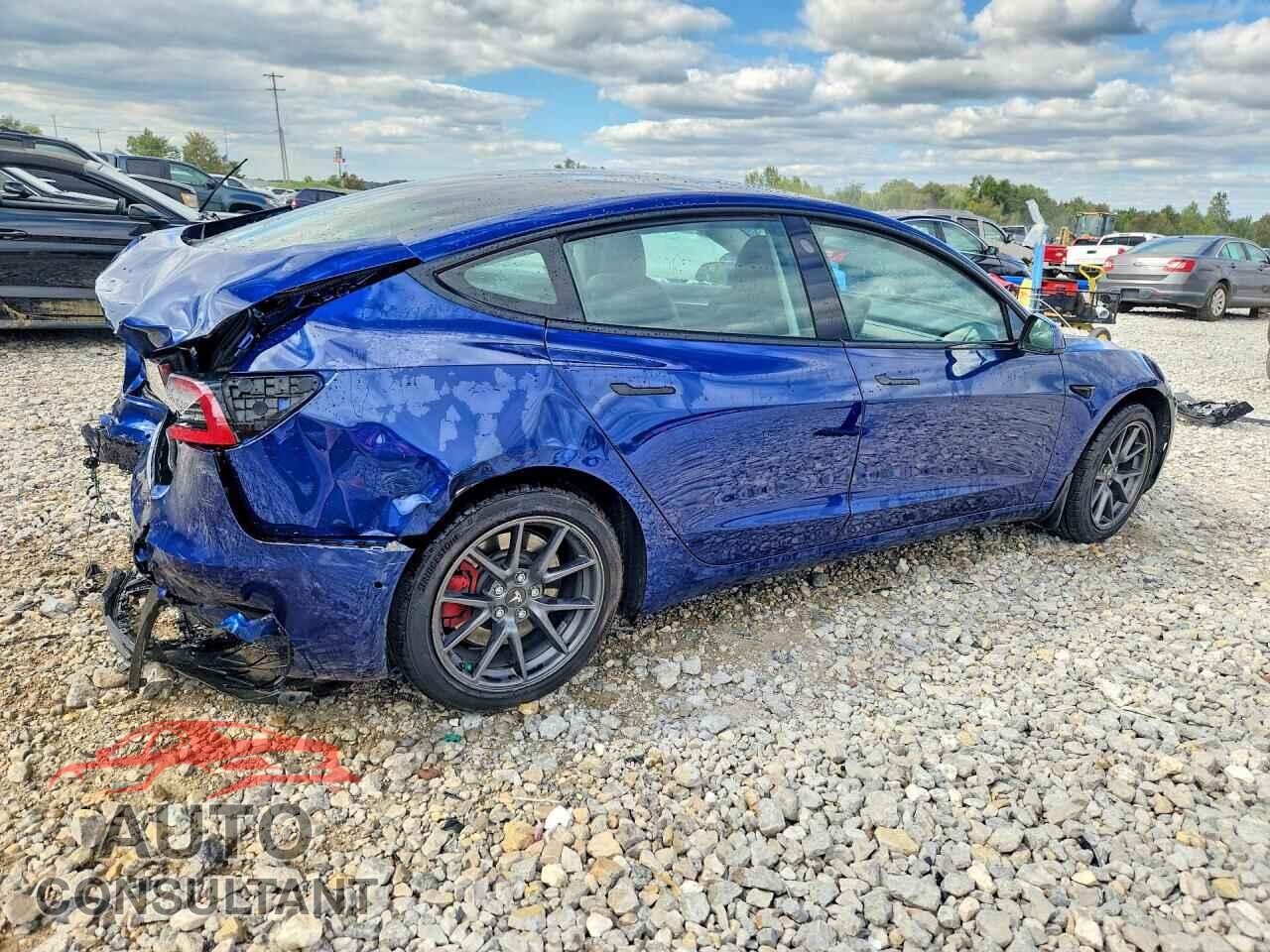 TESLA MODEL 3 2021 - 5YJ3E1EB2MF983317