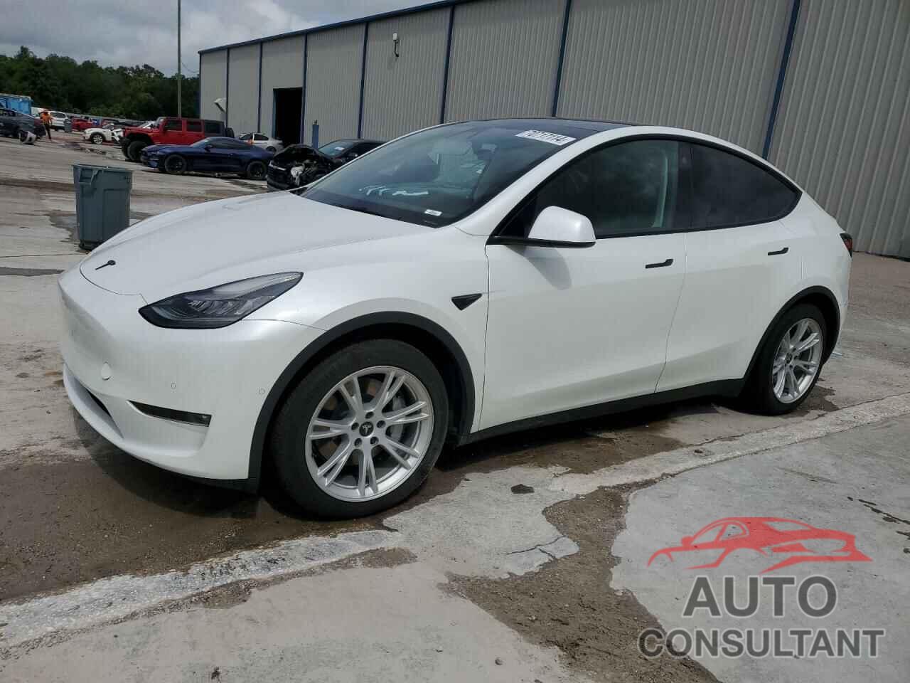 TESLA MODEL Y 2021 - 5YJYGDEE2MF176257