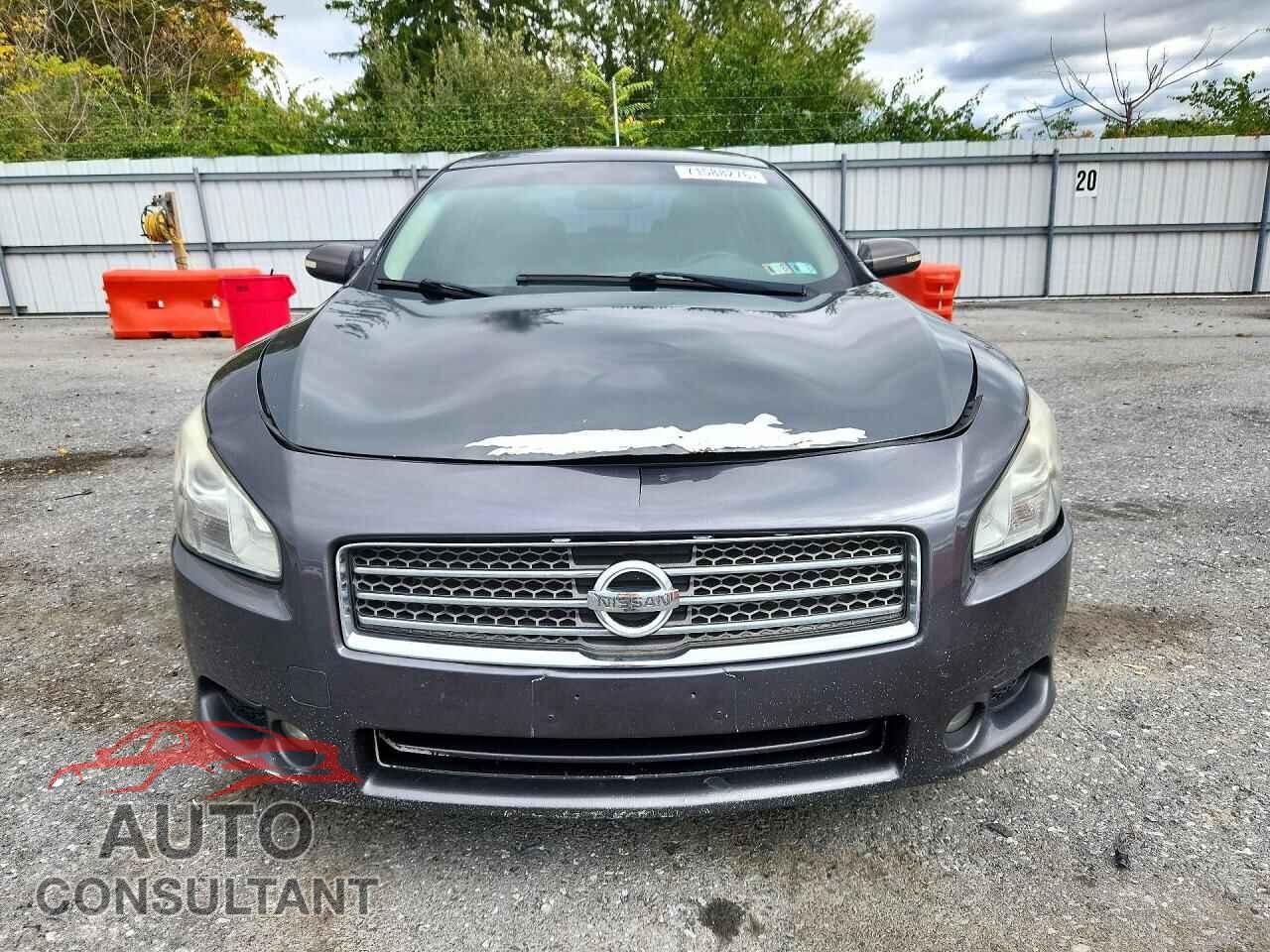 NISSAN MAXIMA 2013 - 1N4AA5AP5DC842417