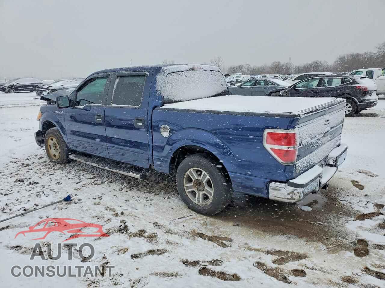FORD F-150 2011 - 1FTEW1CM6BFB53183