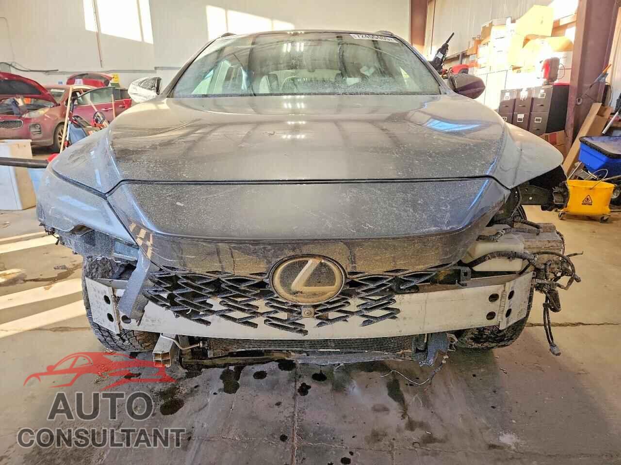 LEXUS RX 500H F 2023 - 2T2BCMEA3PC003916