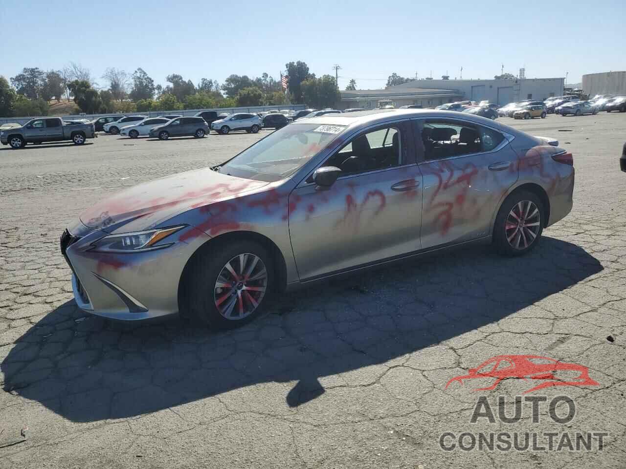 LEXUS ES300 2019 - 58AB21B11KU002581