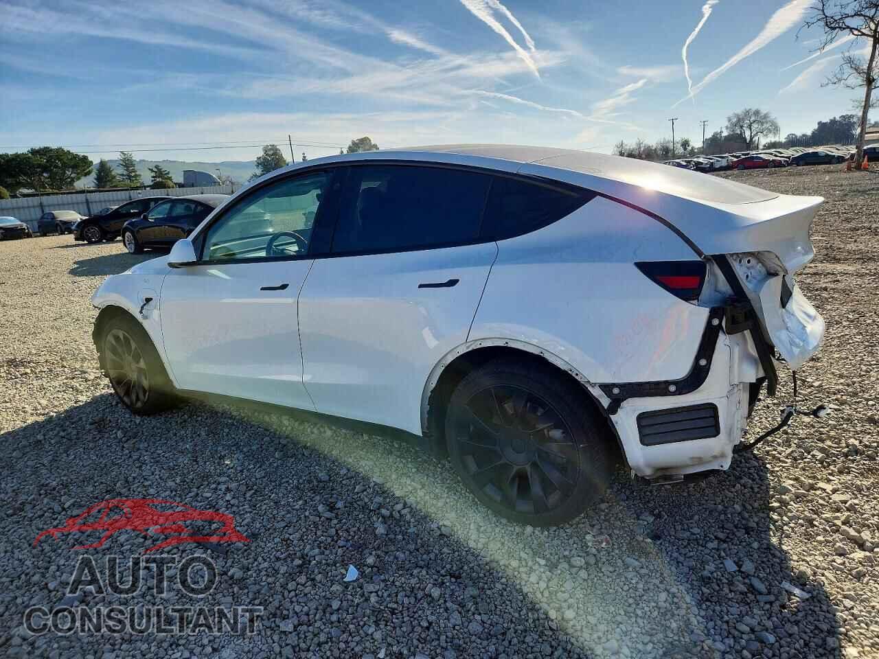 TESLA MODEL Y 2021 - 5YJYGAEE2MF174894