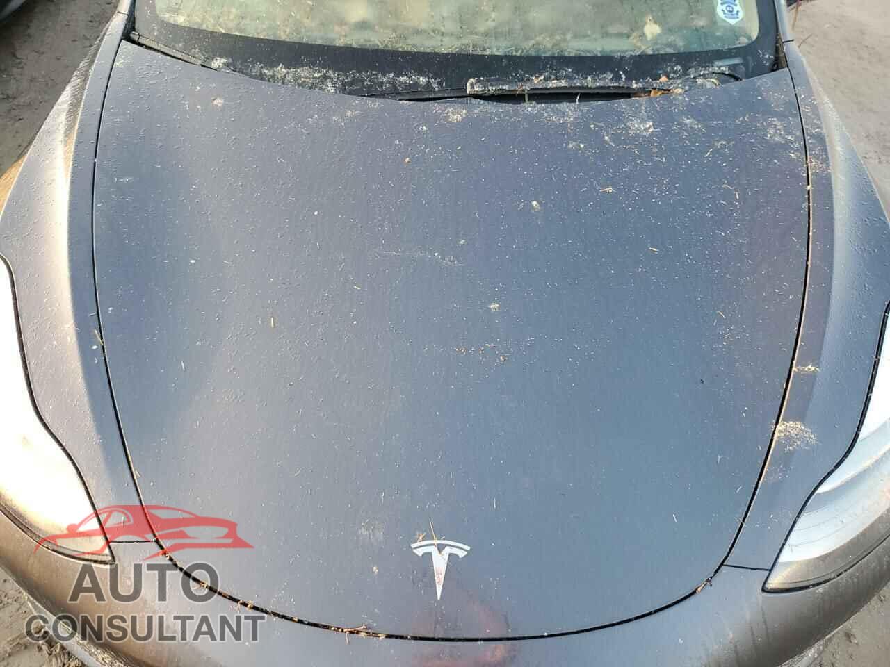 TESLA MODEL 3 2022 - 5YJ3E1EB8NF195515