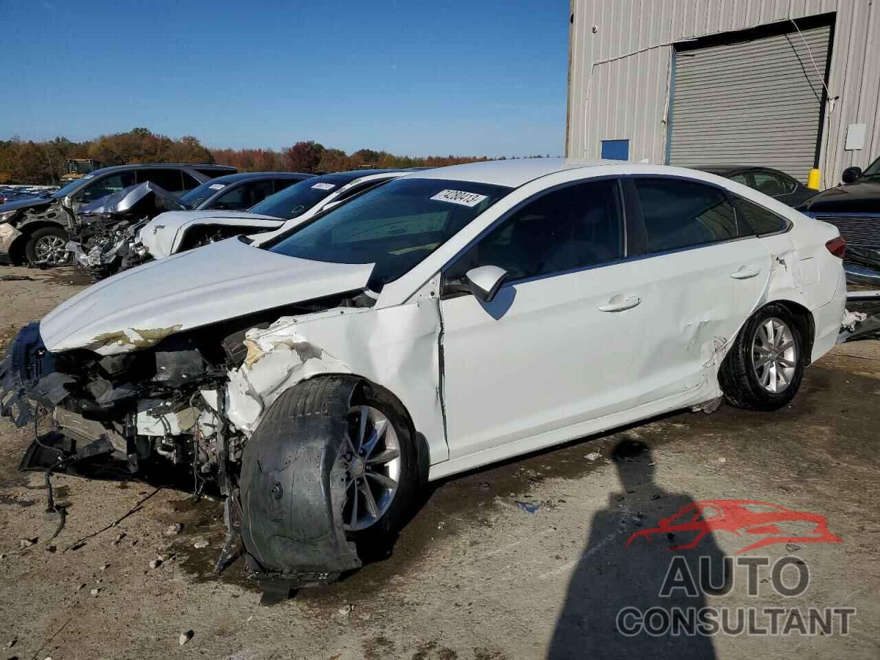 HYUNDAI SONATA 2018 - 5NPE24AF2JH601604