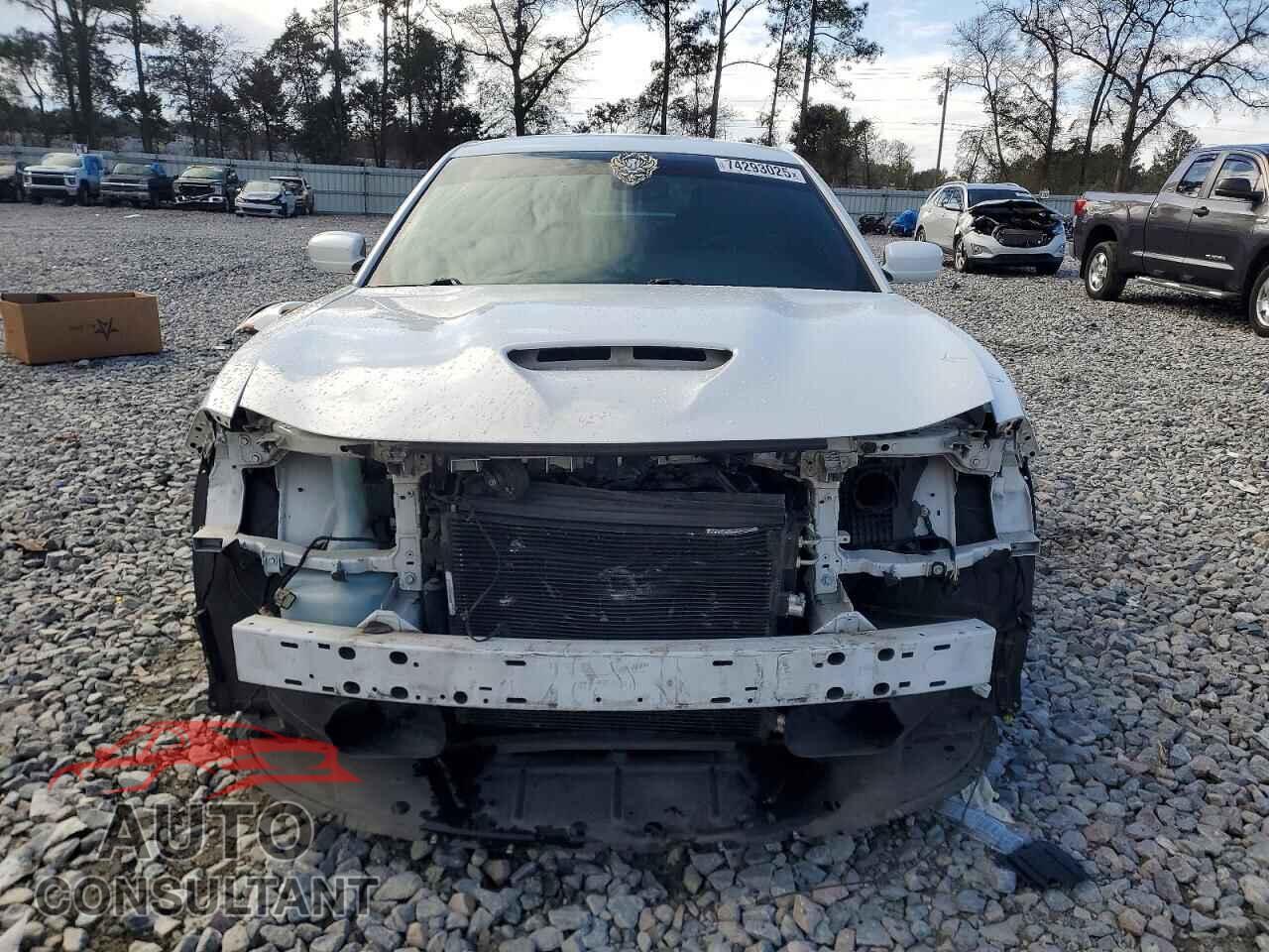 DODGE CHARGER 2019 - 2C3CDXCTXKH757202