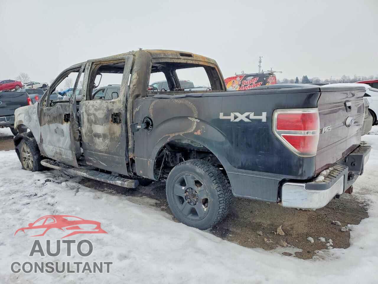 FORD F-150 2010 - 1FTEW1E85AFB11649