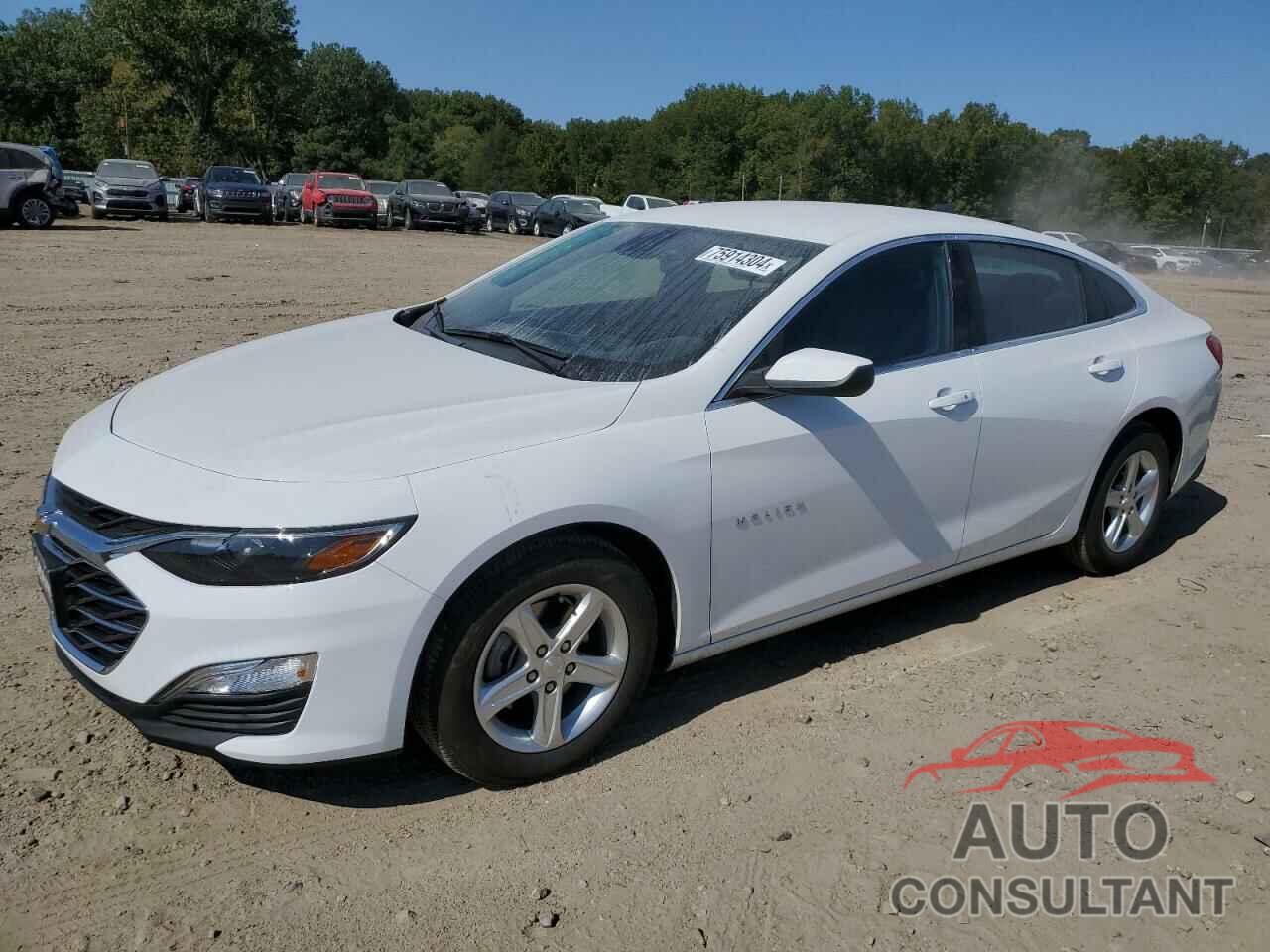 CHEVROLET MALIBU 2024 - 1G1ZC5ST3RF134426