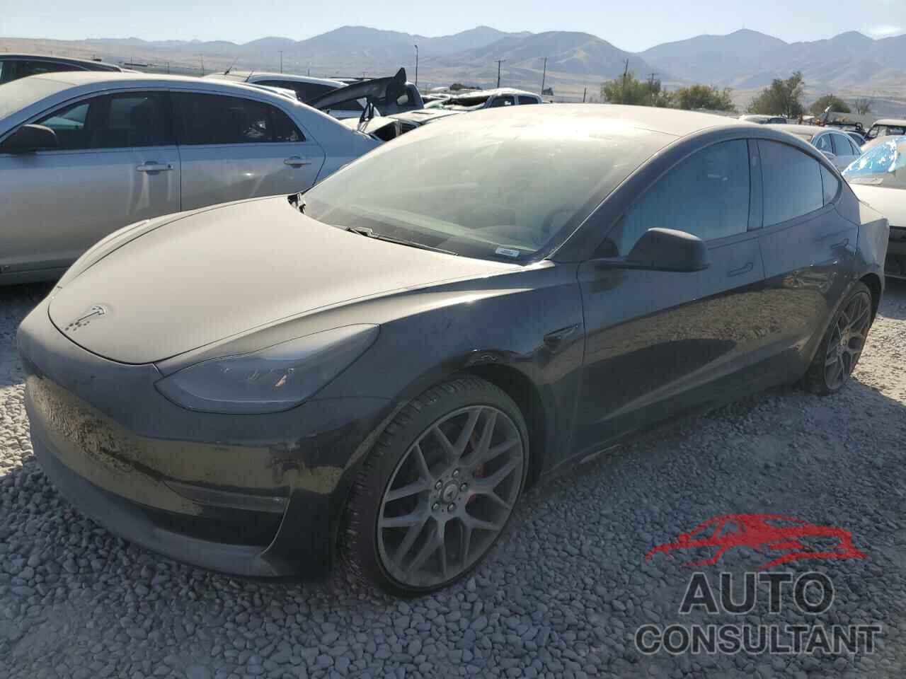 TESLA MODEL 3 2021 - 5YJ3E1EC7MF914289