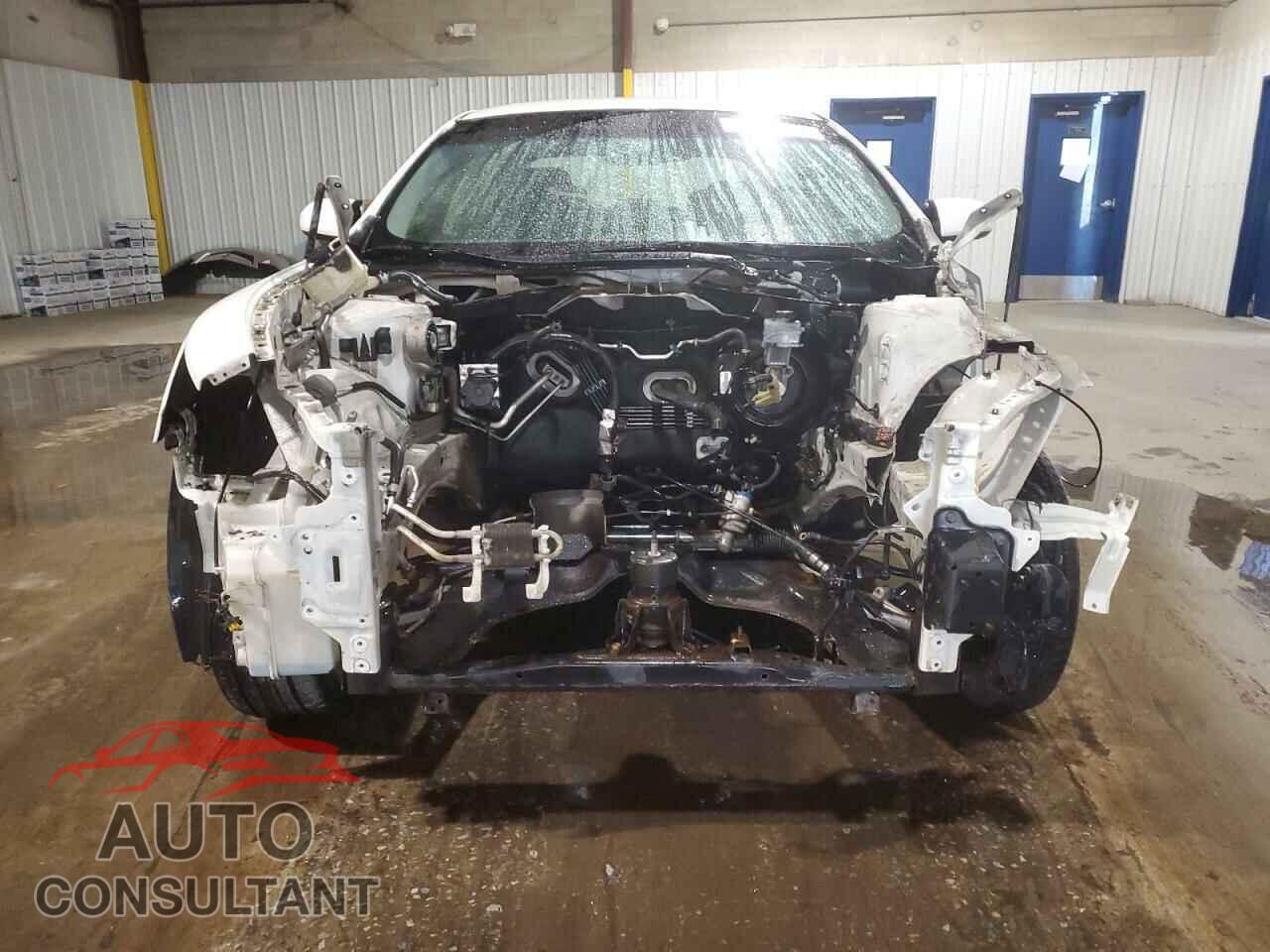 NISSAN MAXIMA 2009 - 1N4AA51E39C806148