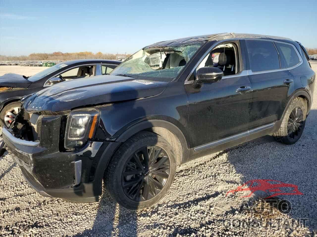 KIA TELLURIDE 2022 - 5XYP54HC4NG220393