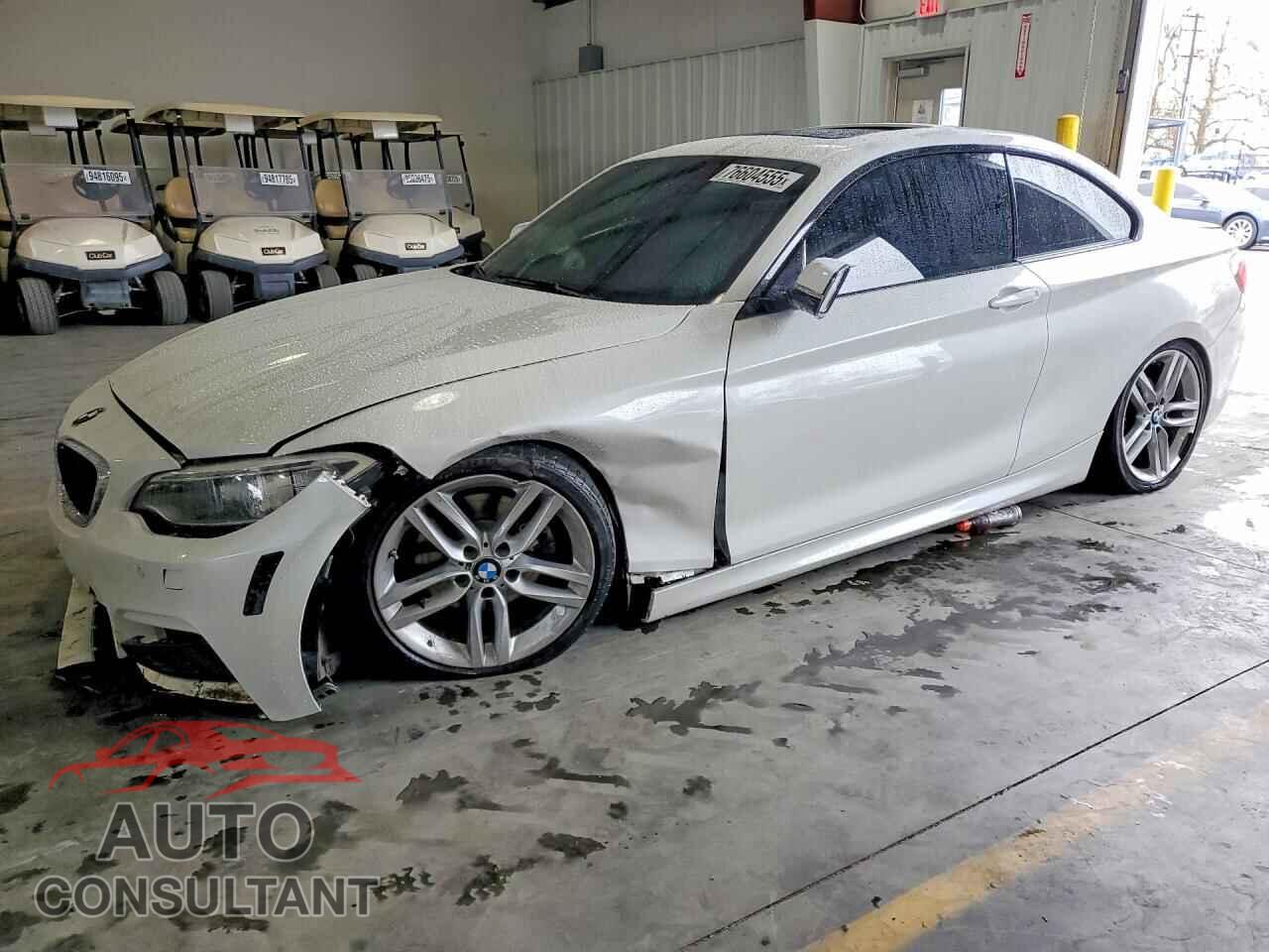 BMW 2 SERIES 2016 - WBA1F9C53GV742708