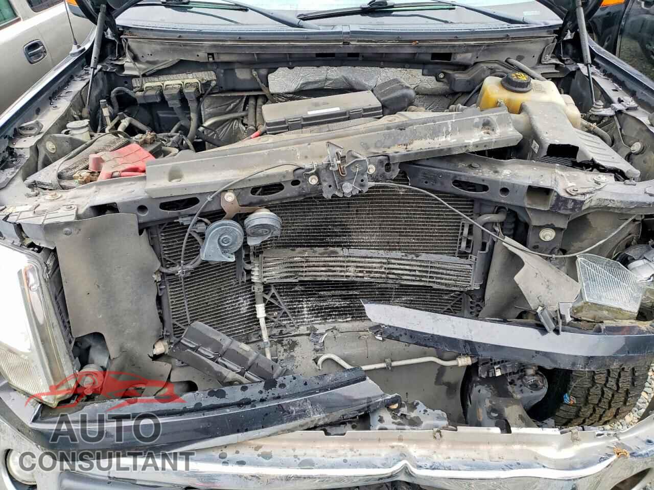 FORD F-150 2013 - 1FTFX1EF1DFD56629