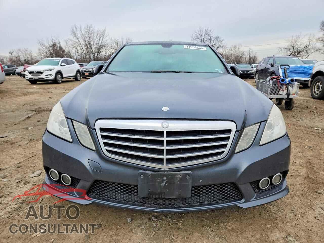 MERCEDES-BENZ E-CLASS 2010 - WDDHF8HB8AA100113