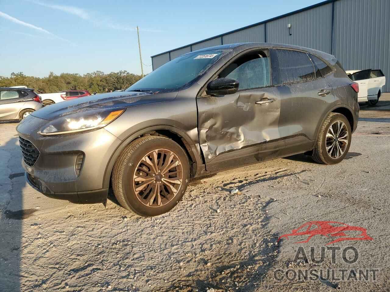 FORD ESCAPE 2022 - 1FMCU0G66NUB29268