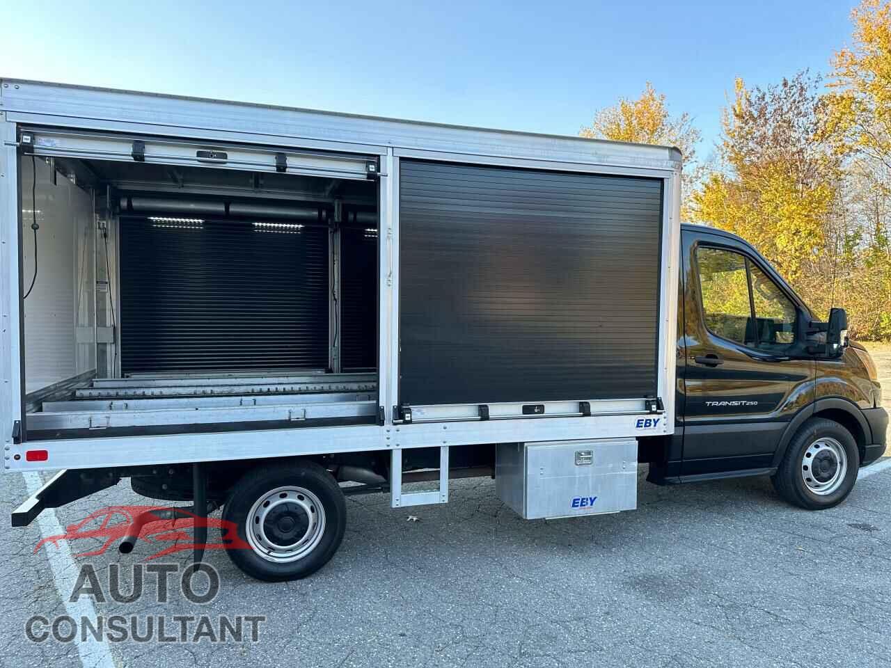 FORD TRANSIT 2020 - 1FDBR5Z86LKA66304
