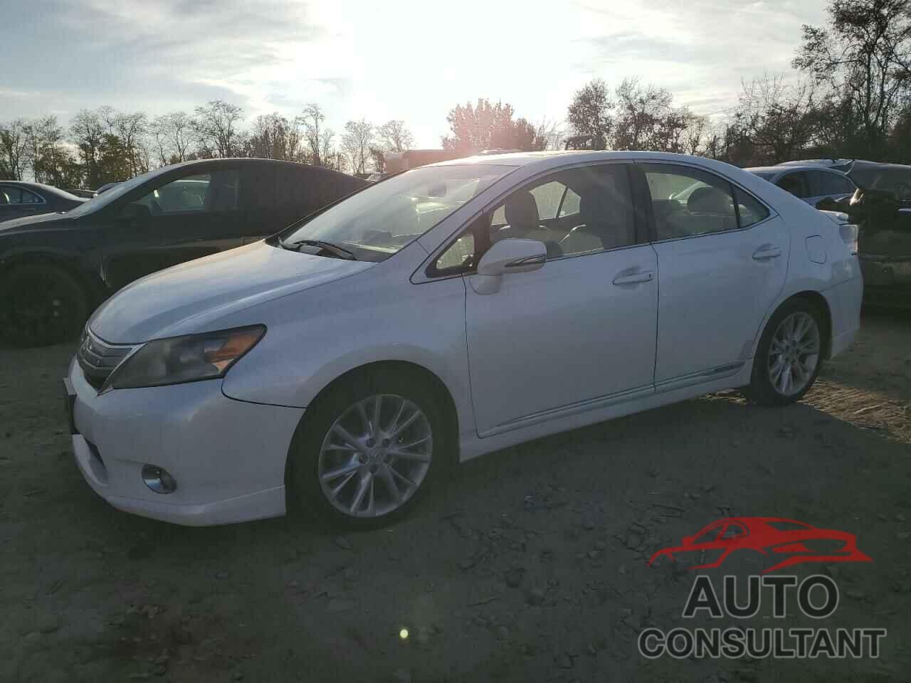 LEXUS HS 2010 - JTHBB1BA7A2031894